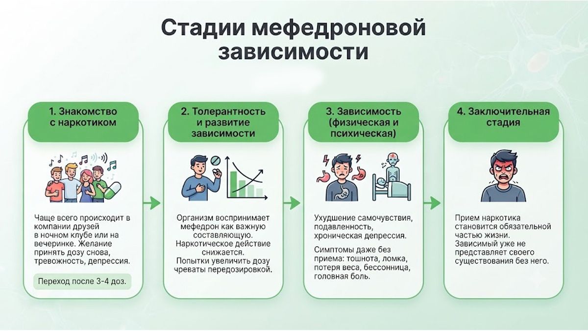 Инфографика, показывающая четыре стадии мефедроновой зависимости.